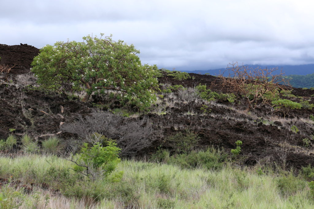 Karge Vulkanlandschaft beim Vulkan Masaya