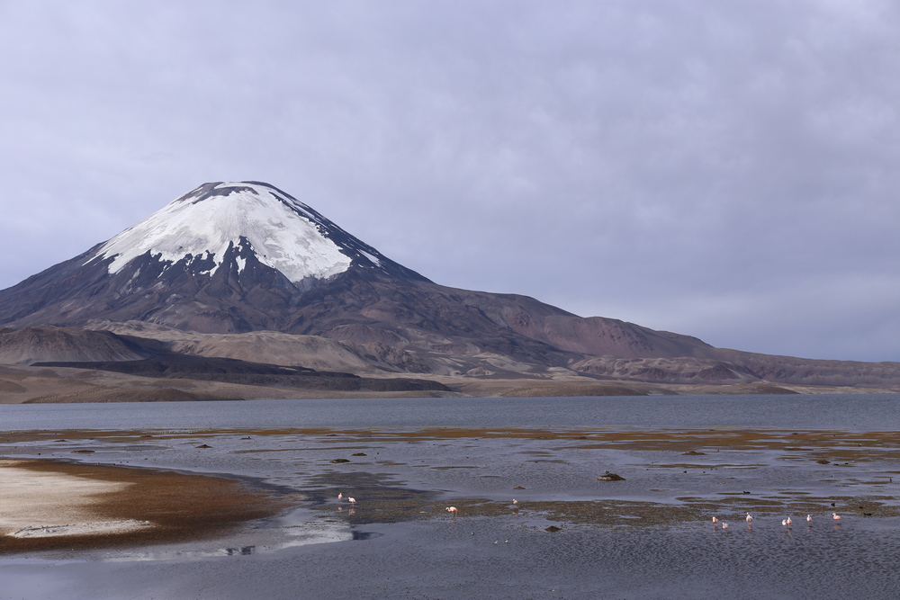 Im Lauca NP in Chile